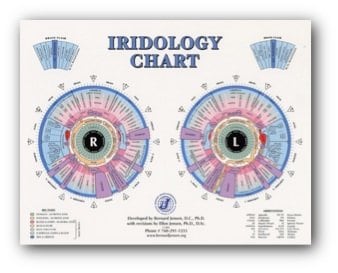 Basics Of Iridology: How It Works