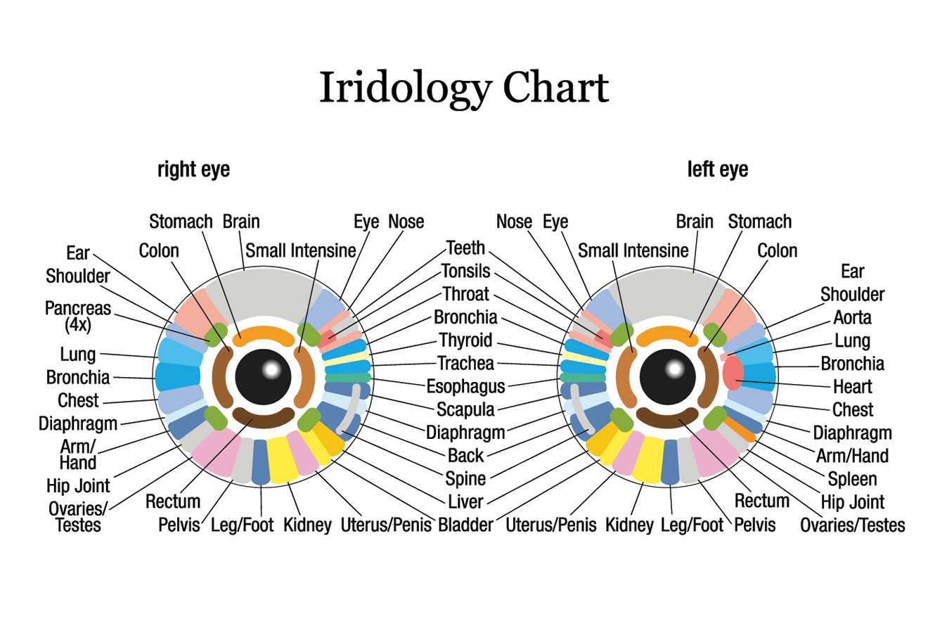 Common Myths And Misconceptions About Iridology