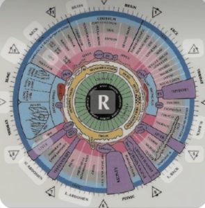 How Iridology Complements Traditional Medicine