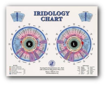 How Iridology Complements Traditional Medicine