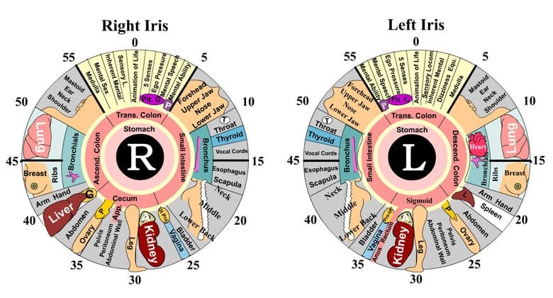 The Science Behind Iridology: Is It Evidence-Based?
