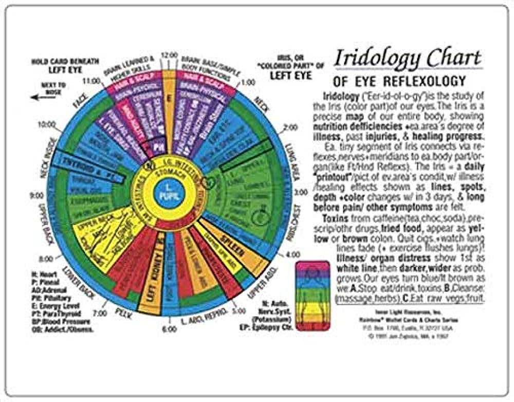 Understanding Iridology Charts: A Guide