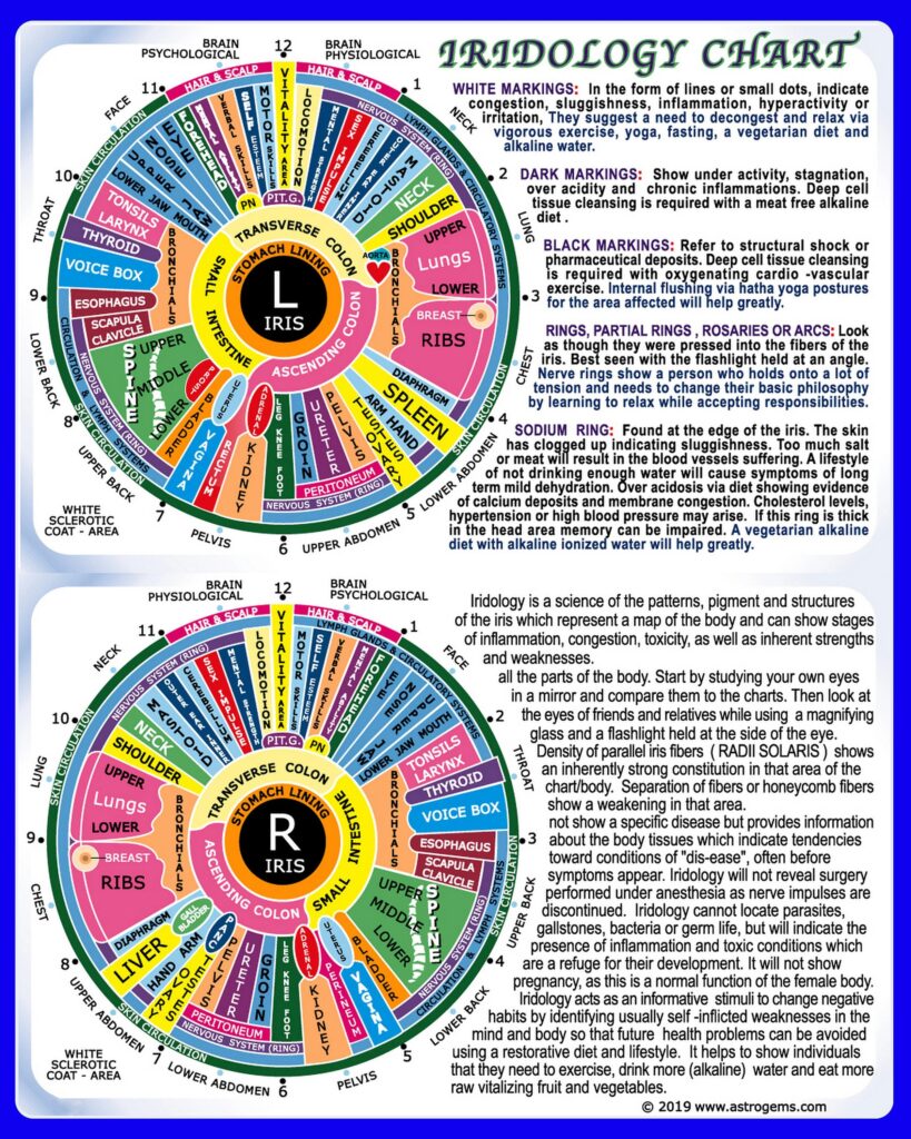 Understanding Iridology Charts A Guide Emerald Coast Holistic Health 3935